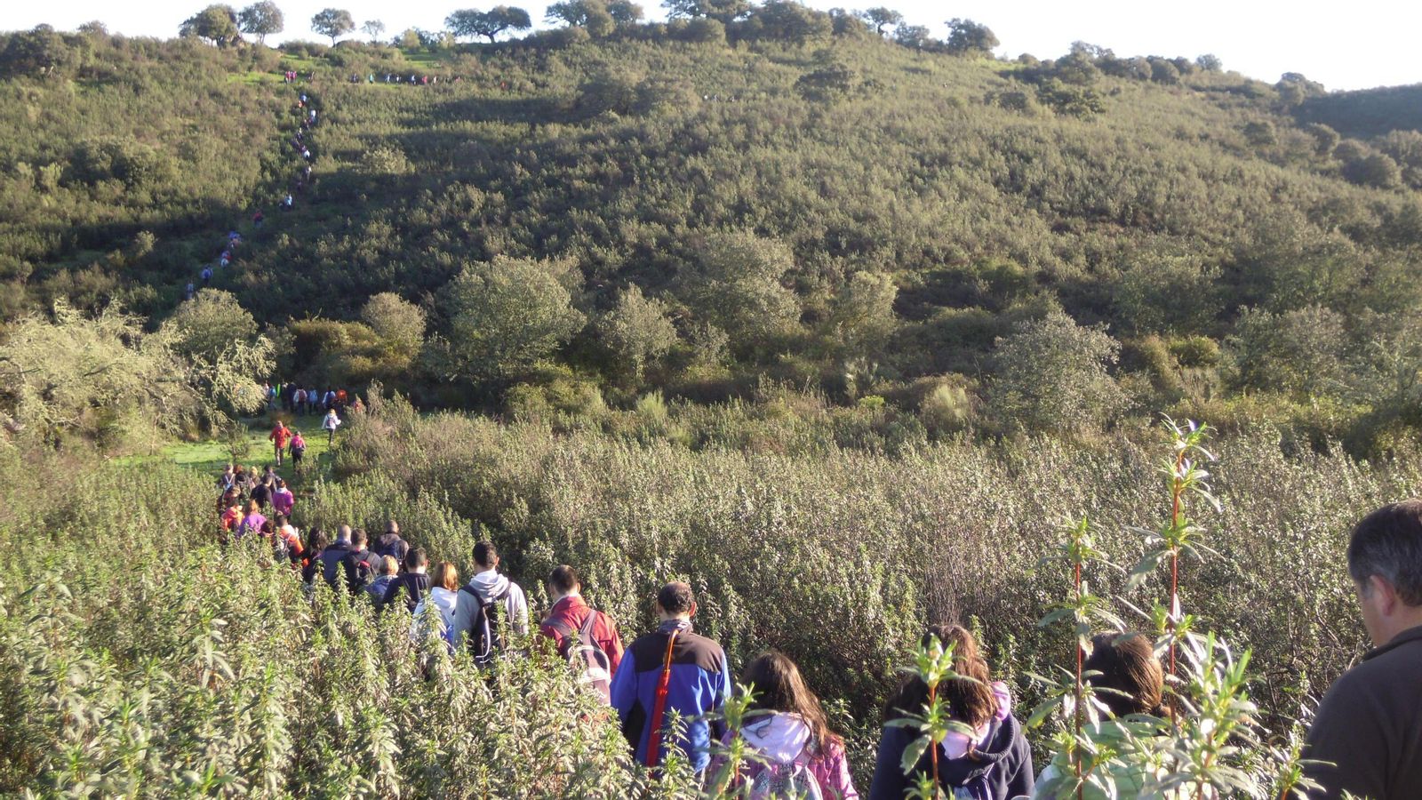 Existen numerosas rutas senderistas por Encinasola.