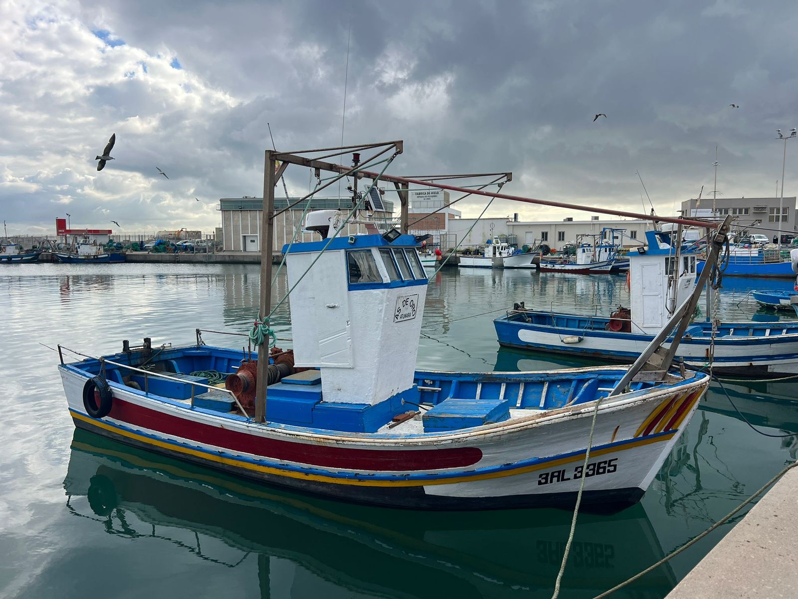 Barcos pesqueros en el puerto de la Atunara, de La Línea.