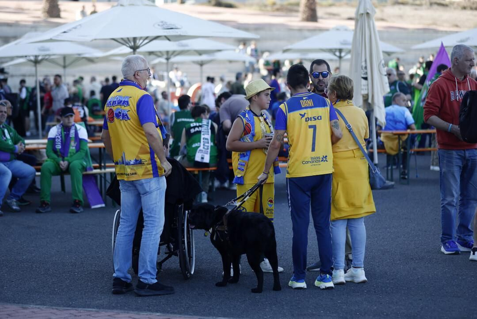 Copa del Rey: Búscate en el Gran Canaria Arena durante el Unicaja-Joventut