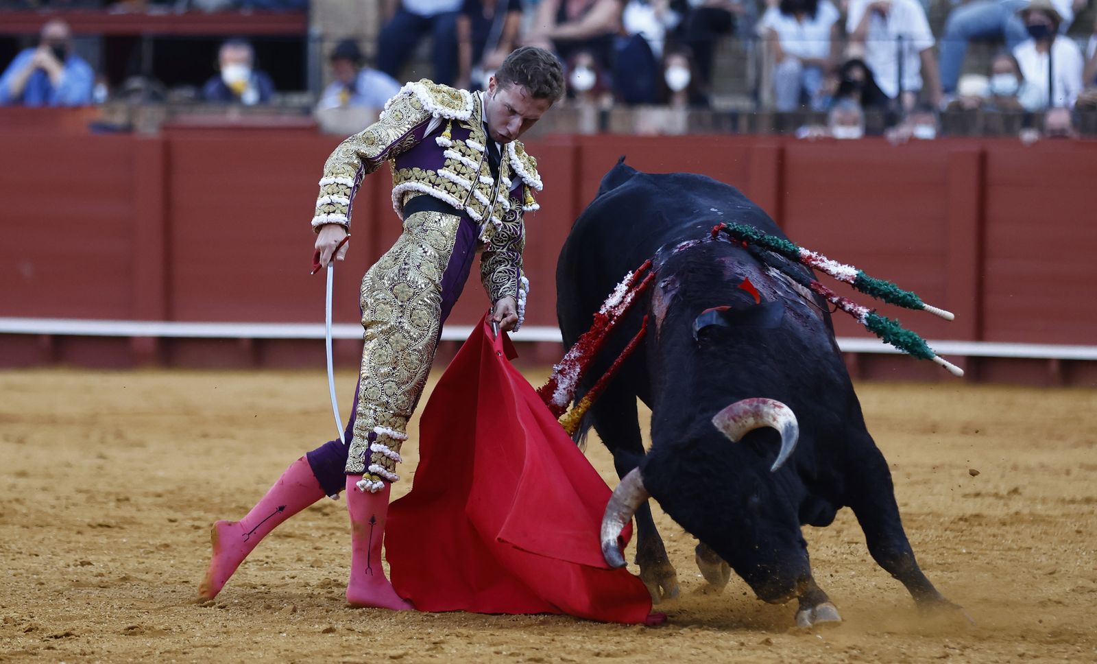 Fotos de la segunda novillada de la feria de San Miguel de Sevilla