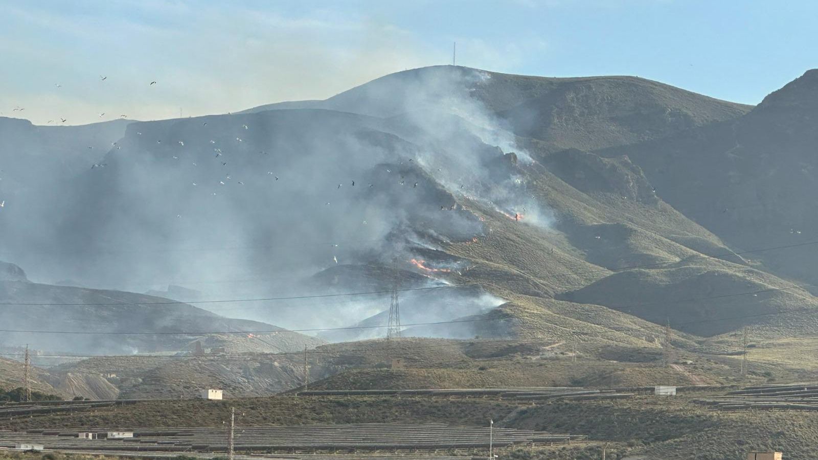 Imágenes del incendio forestal que mantiene en vilo a vecinos de Gádor y Benahadux