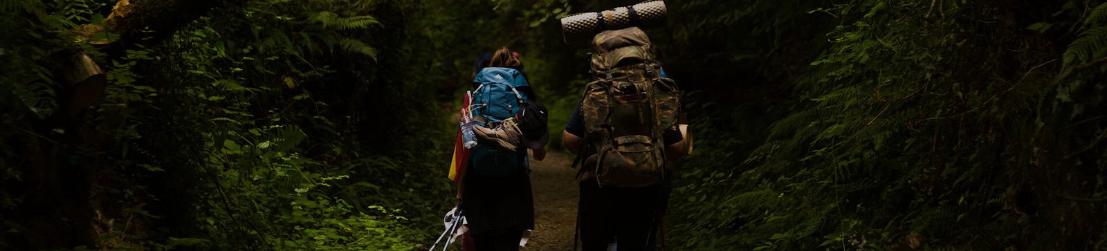 Una Guía de Aves del Camino de Santiago