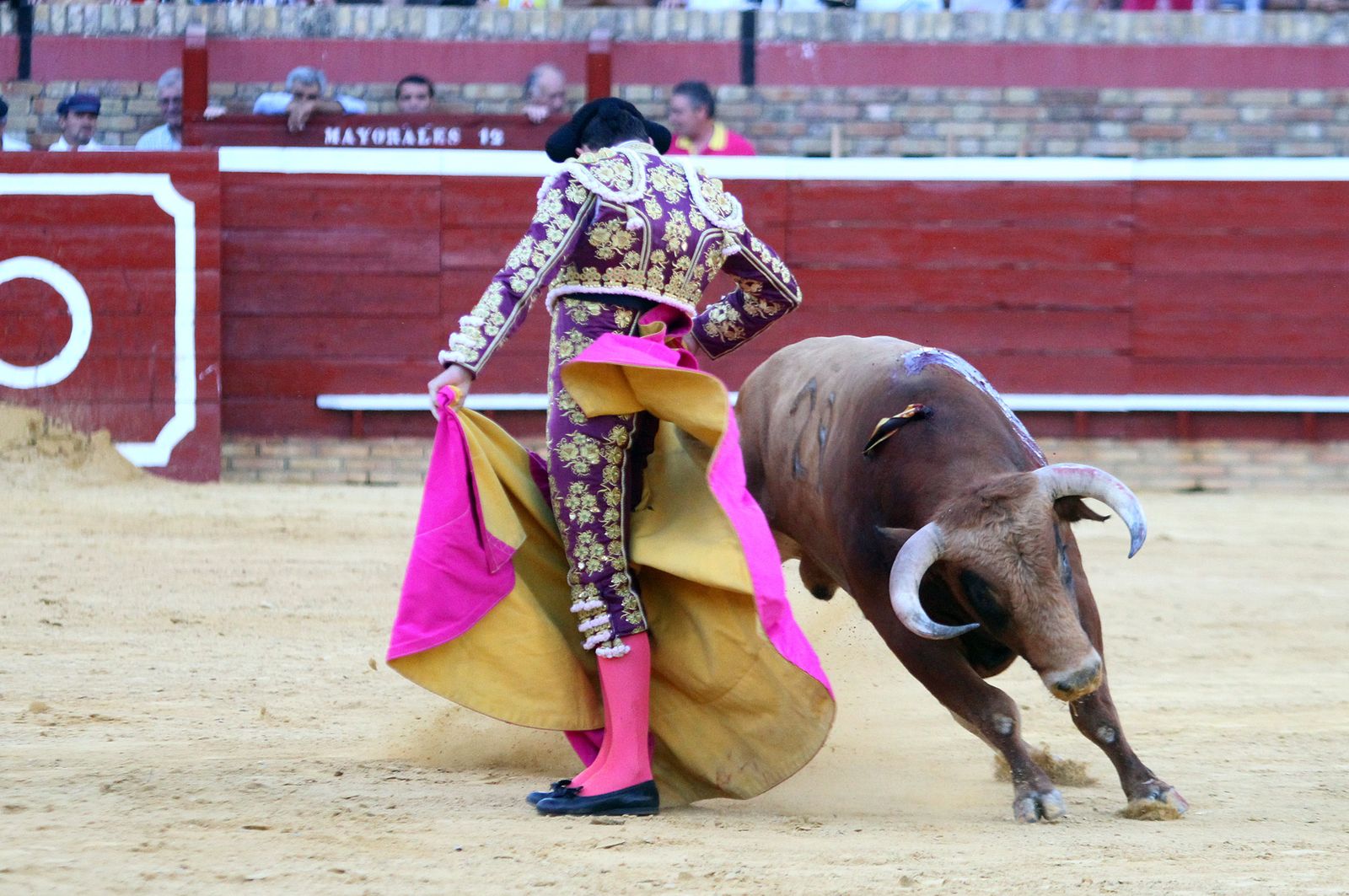 Imágenes de la Novillada de Rafael Serna, Emilio Silvera y Rodrigo Molina.