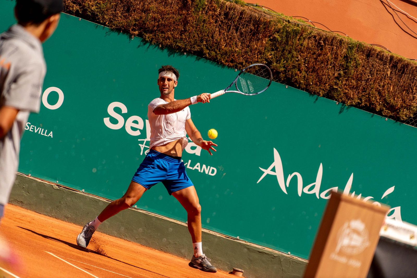 Buse - Taberner (27).jpg