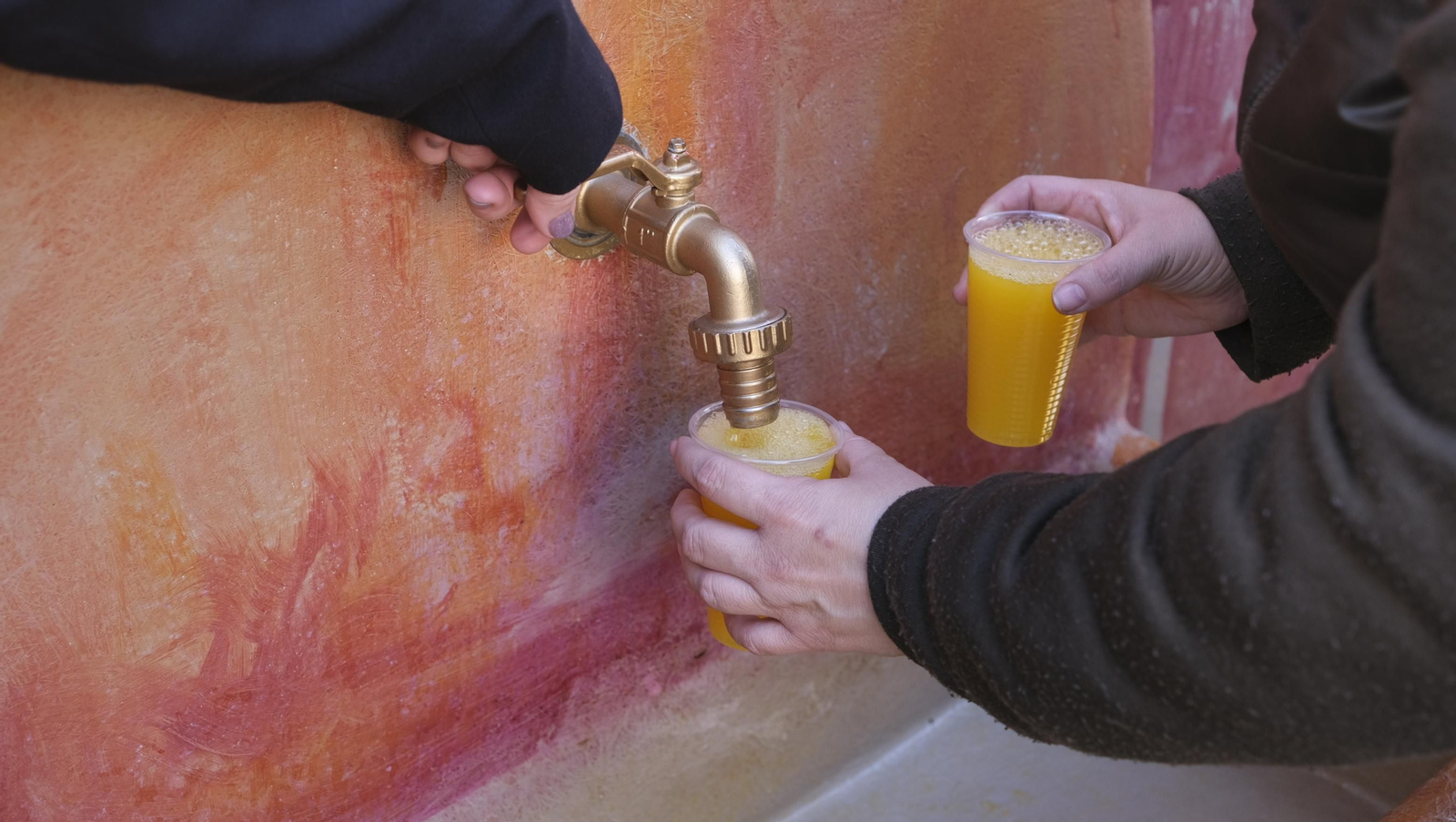 Imágenes del Día de la Naranja, en Gádor