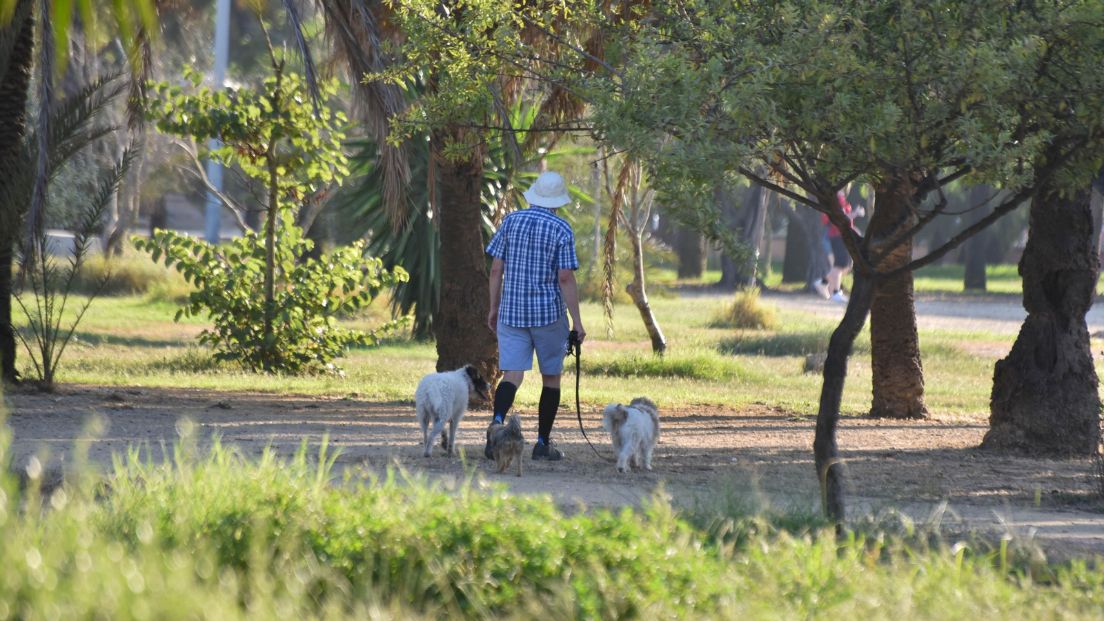 Un día en el Parque Princesa Sofía en La Línea