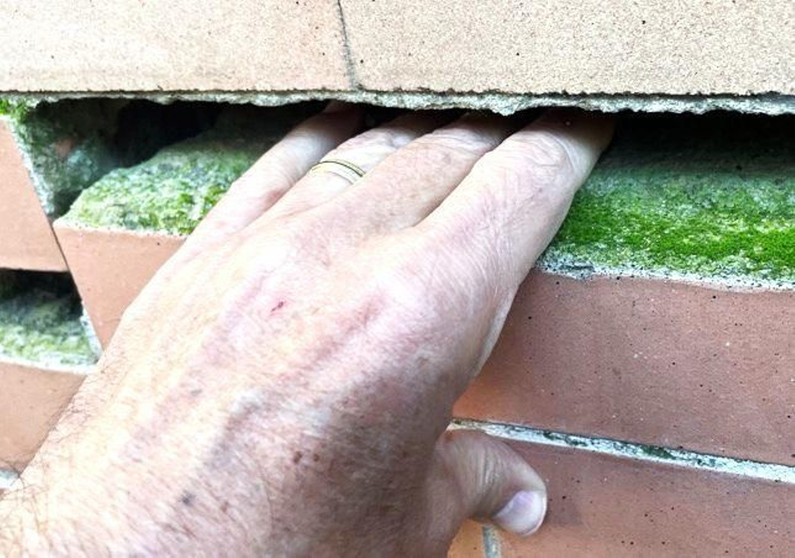 Las grietas del cerramiento de los Jardines del Prado en Diego de Riaño