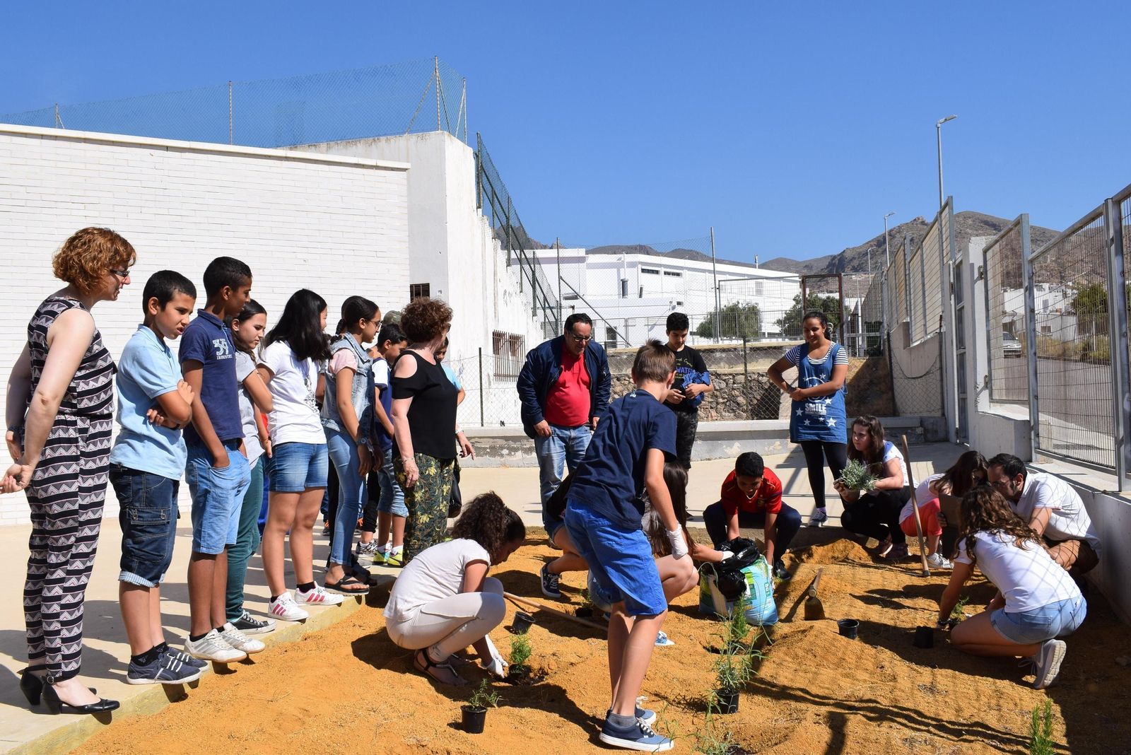 El IES Villa de Níjar adorna su entorno con nuevas plantas El IES Villa de Níjar adorna su entorno con nuevas plantas