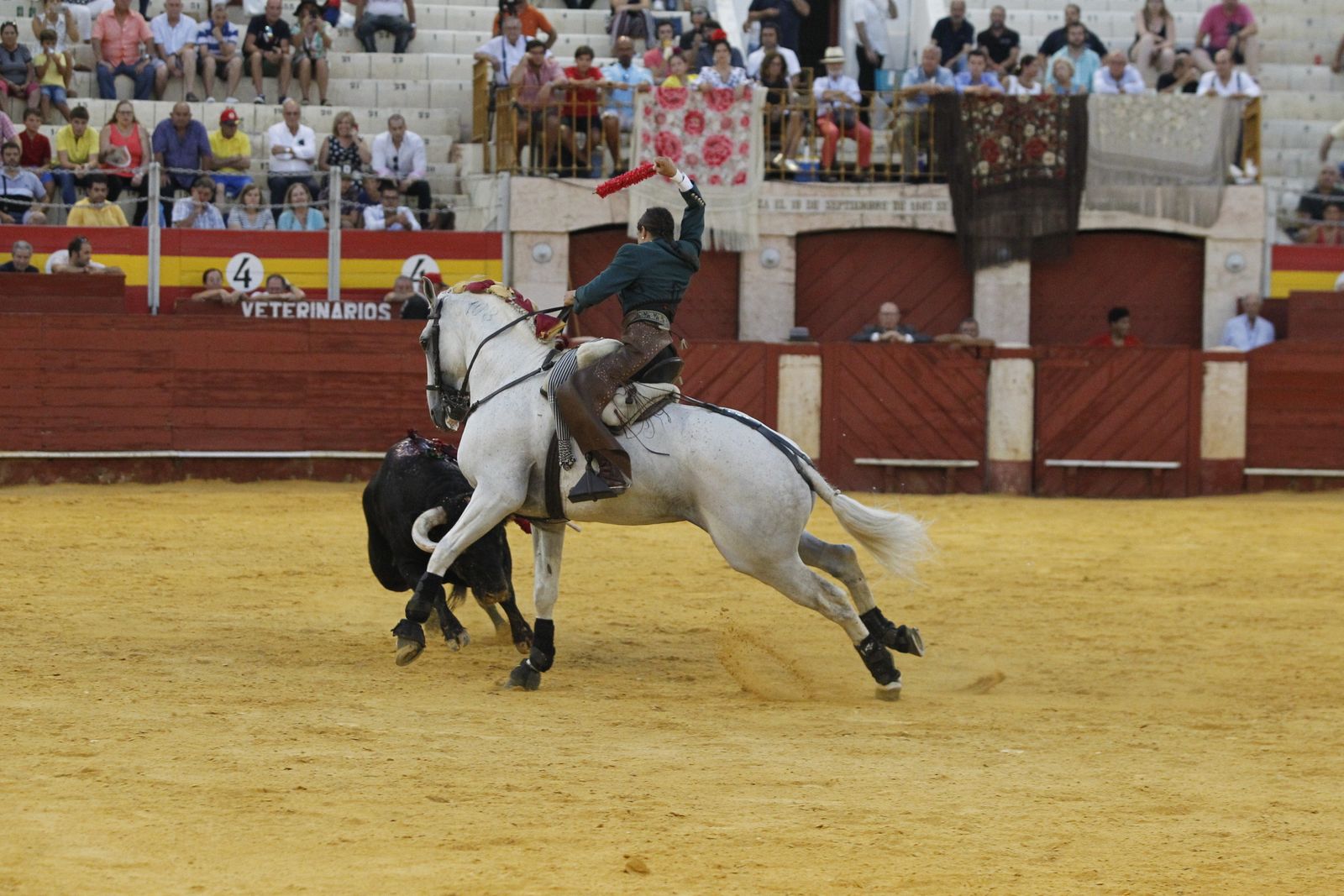 Fotogalería corrida de rejones. Feria de Almería 2019