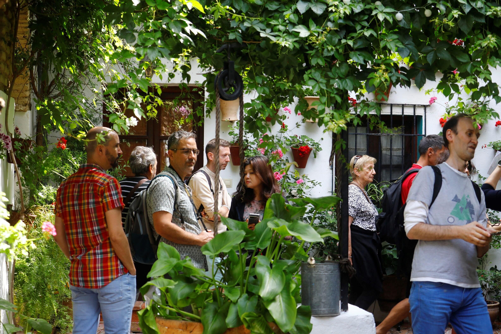 Los patios de Córdoba de la ruta Judería-San Francisco, en imágenes