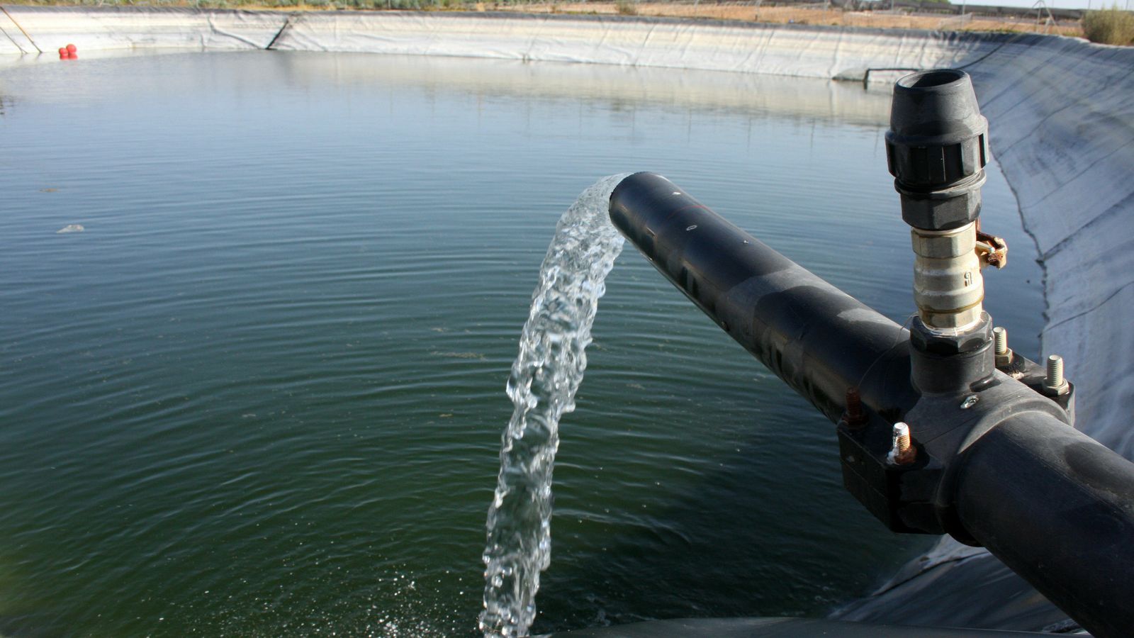 Balsa de regadíos en la zona del Condado onubense.