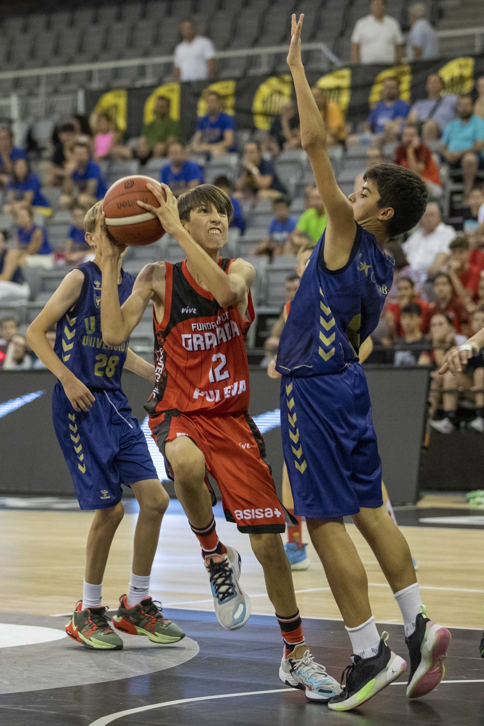 Las mejores imágenes del Campeonato de España de Minibasket