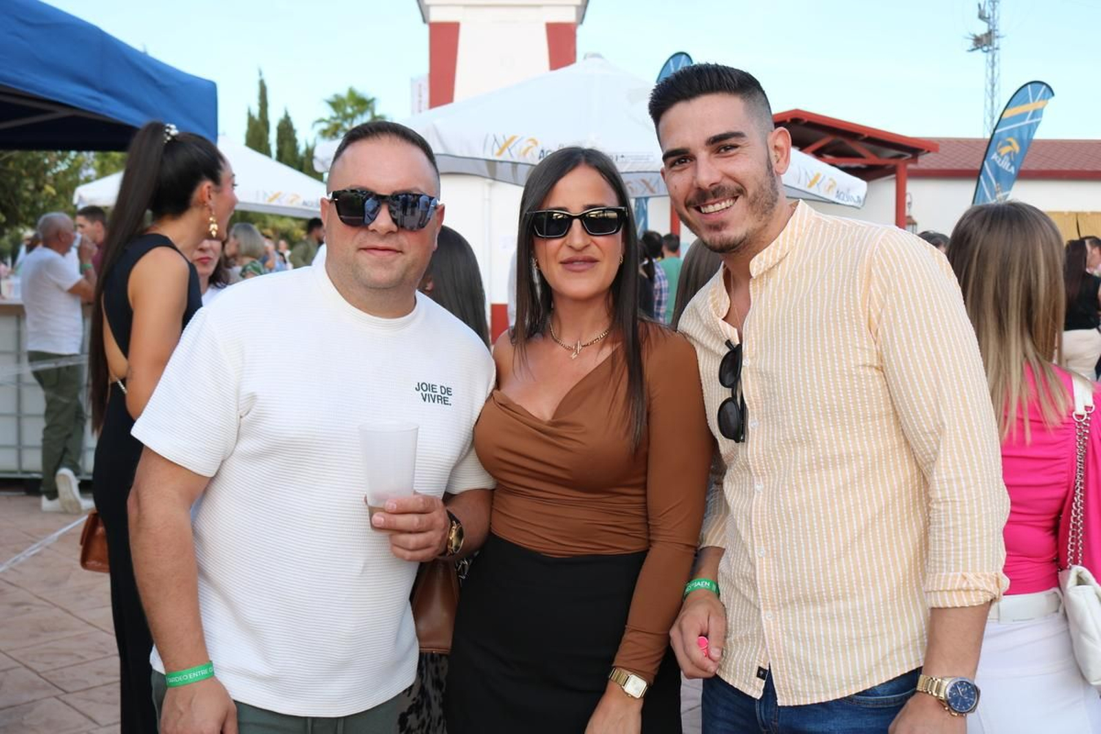 Una tarde única entre los olivos de Aires de Jaén.