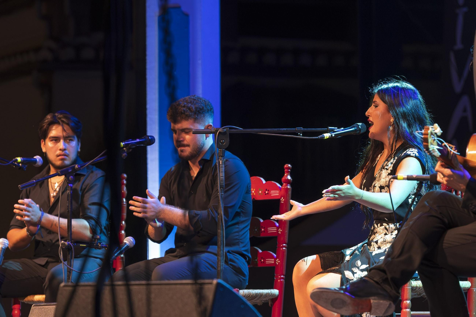 Todas las imágenes del Festival Flamenco de los Ogíjares