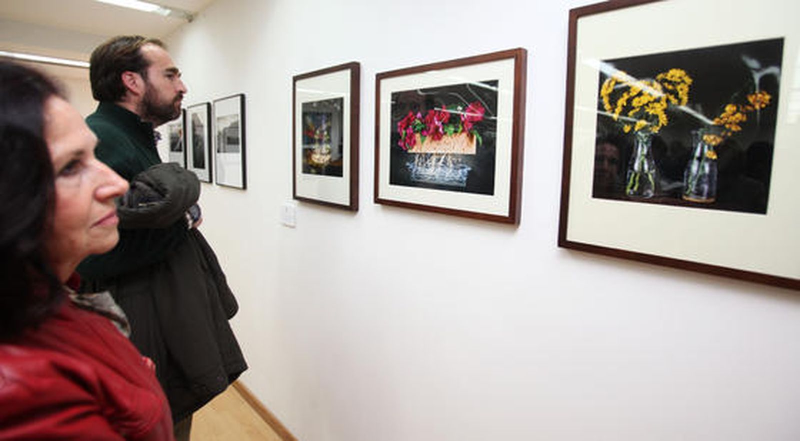 Algunas de las fotografías expuestas en ‘ArteaDiario’. 

Foto: Vanesa Lobo