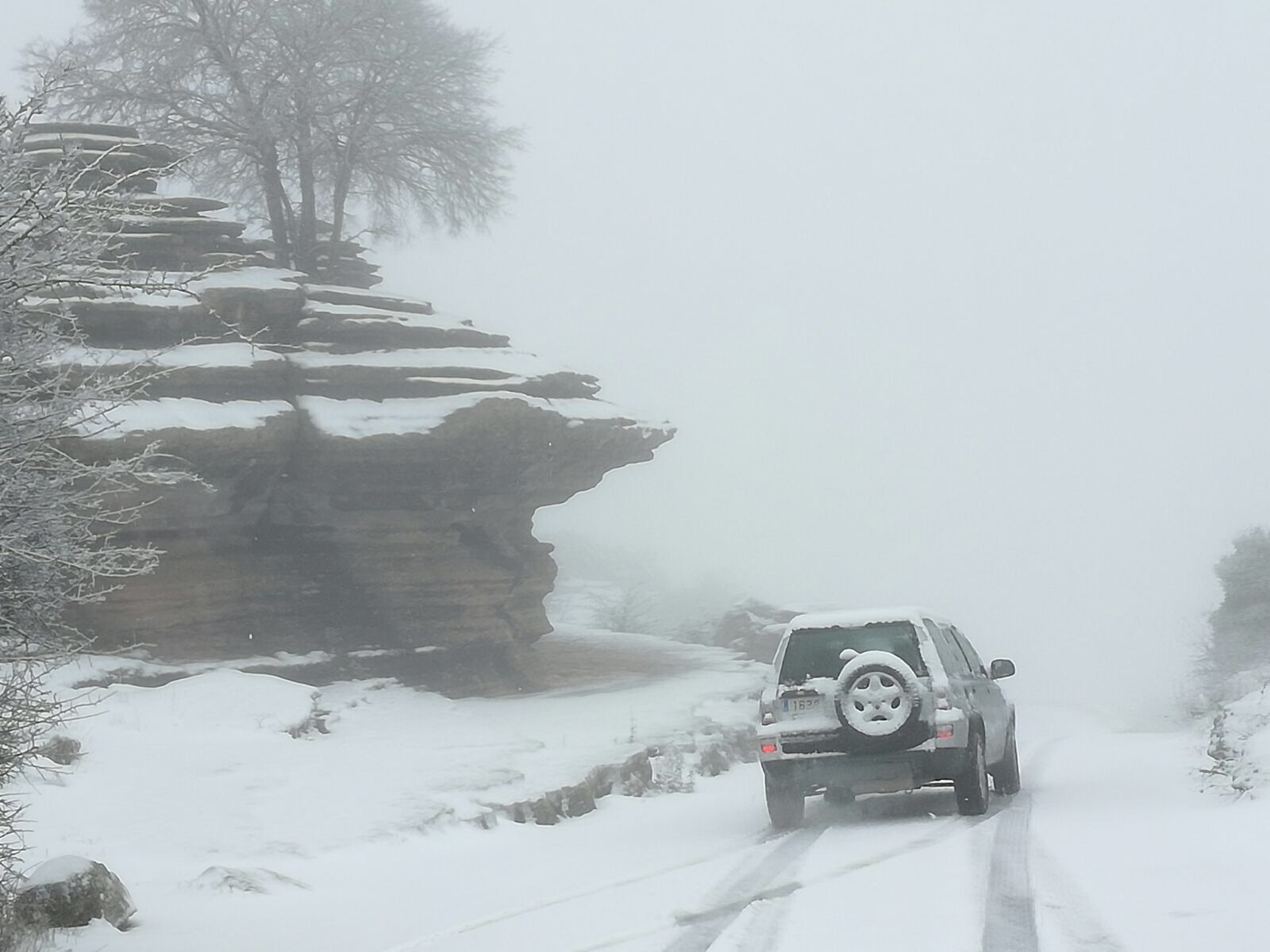 La nevada en el interior de Málaga, en imágenes