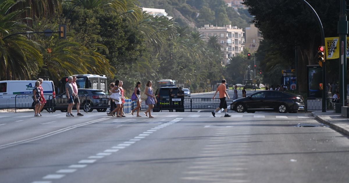 Málaga adjudica el proyecto para la instalación y puesta en marcha de ...