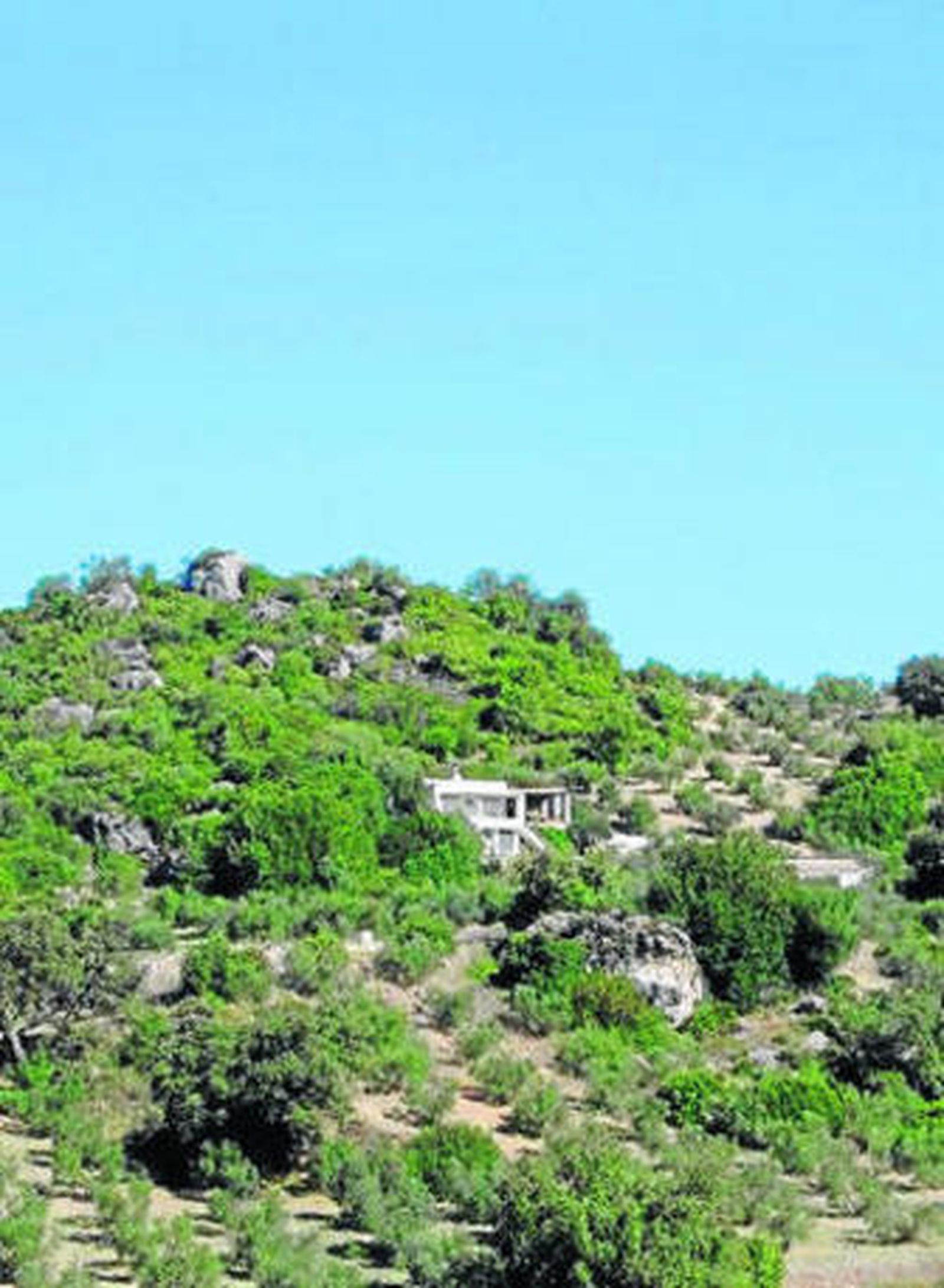 Finca sobre la que se produjo la negligente fumigación denunciada.