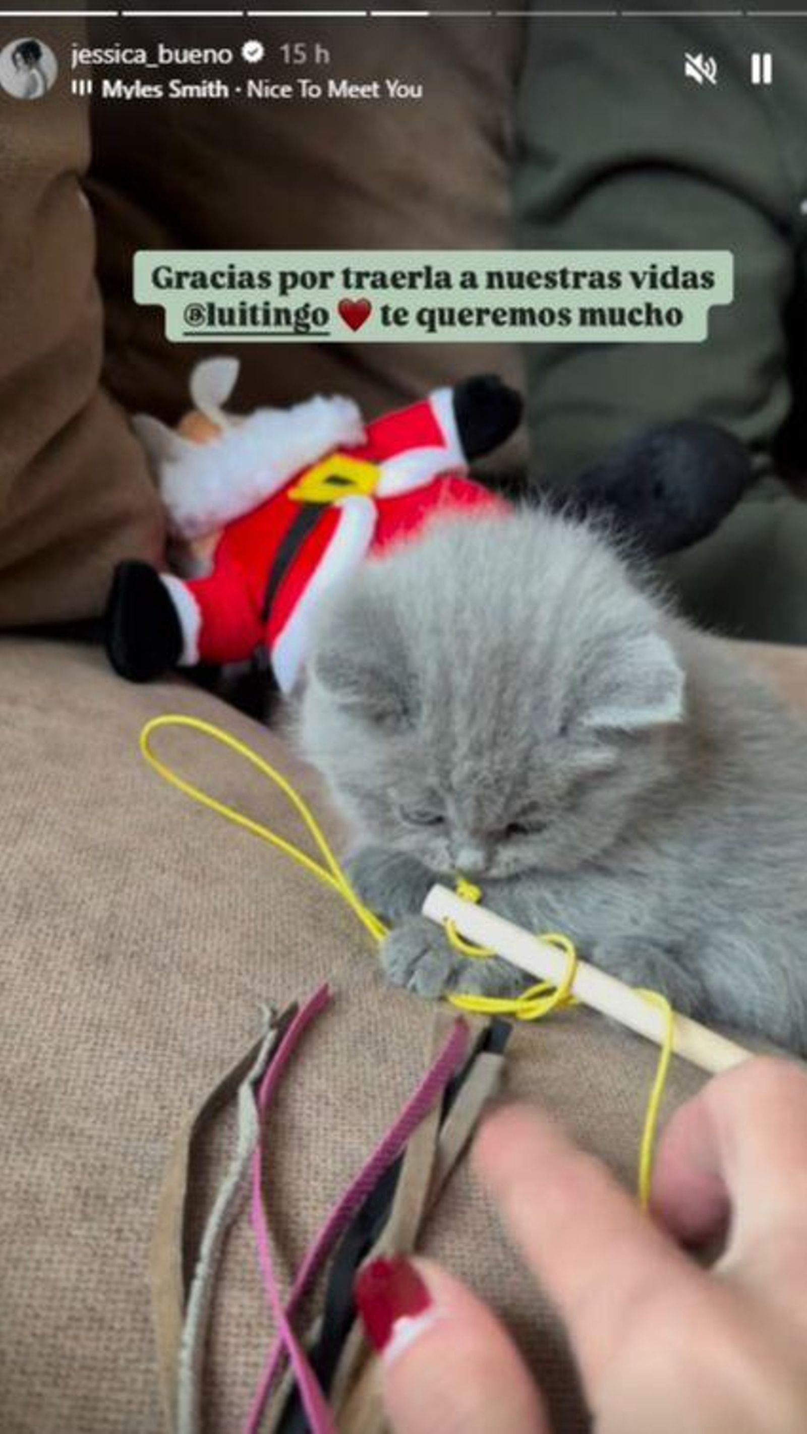 Jessica Bueno muestra a 'Chío' su nueva gata Jessica Bueno muestra a 'Chío' su nueva gata