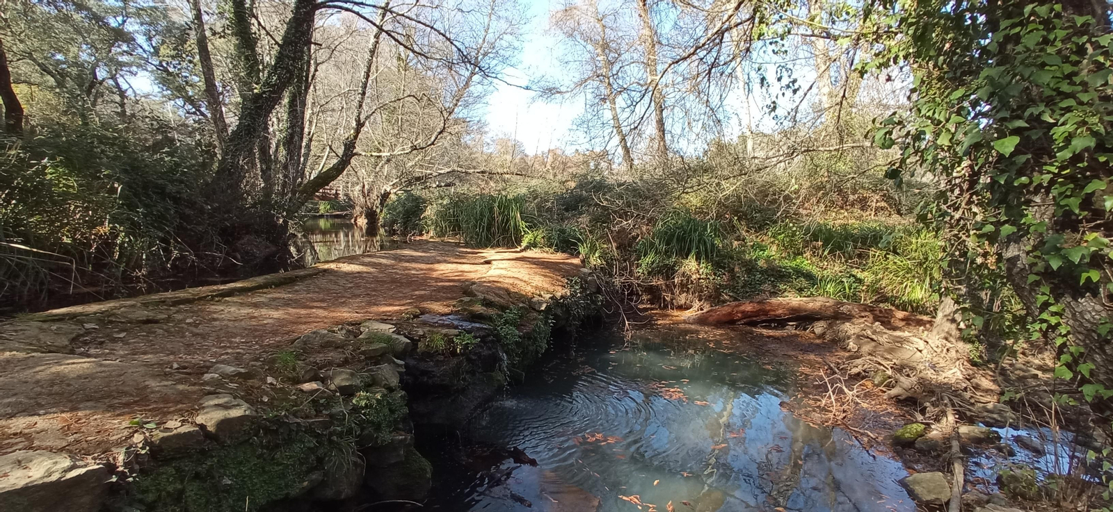 Las imágenes de la ruta de la cascada de Jollarancos y bosque de las letras