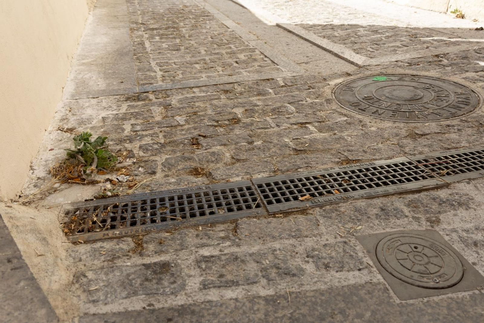 Suciedad y hierbajos toman el entorno de la Catedral de Jaén