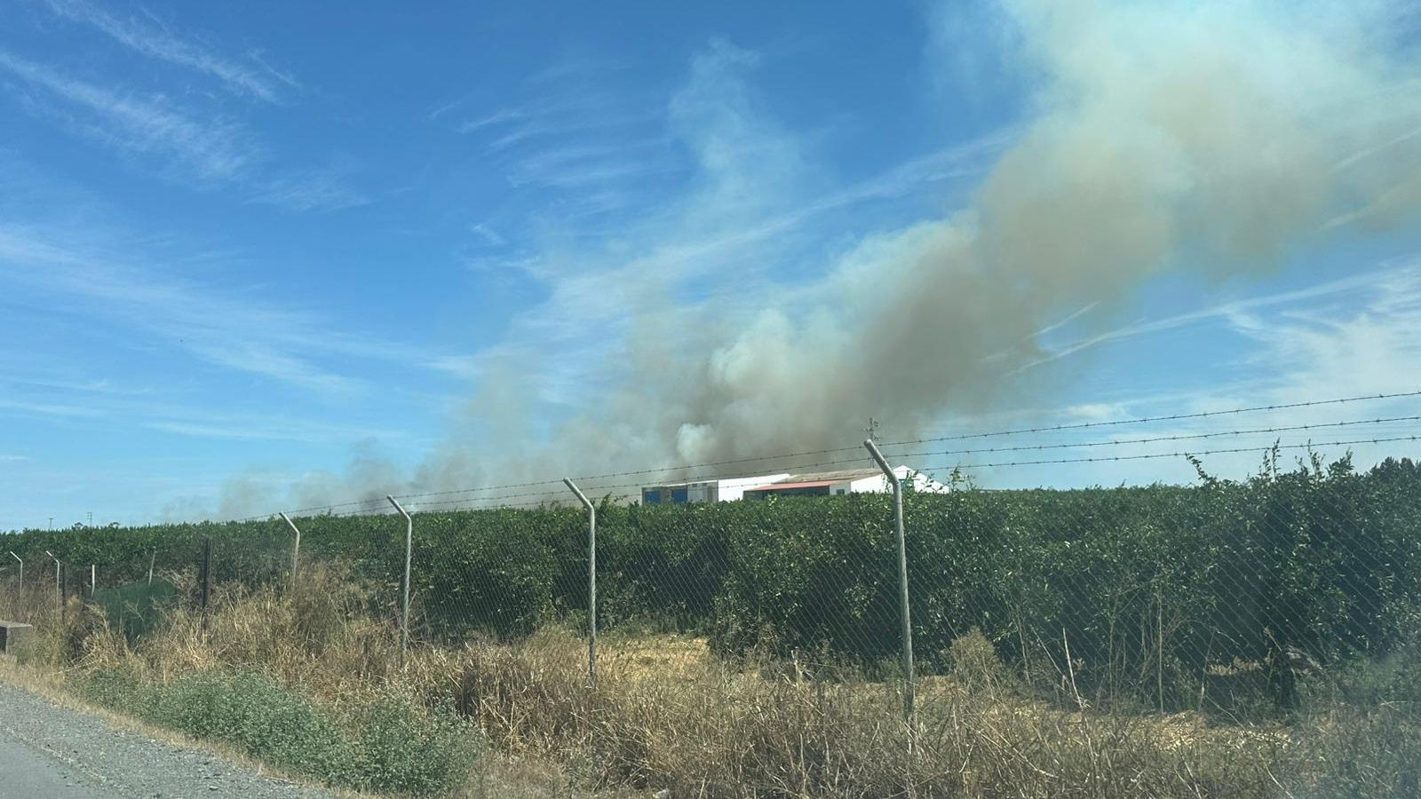 Zona del incendio.