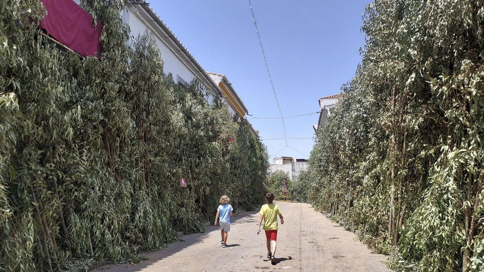Dos niños pasean por las calles revestidas de eucaliptos. Dos niños pasean por las calles revestidas de eucaliptos.
