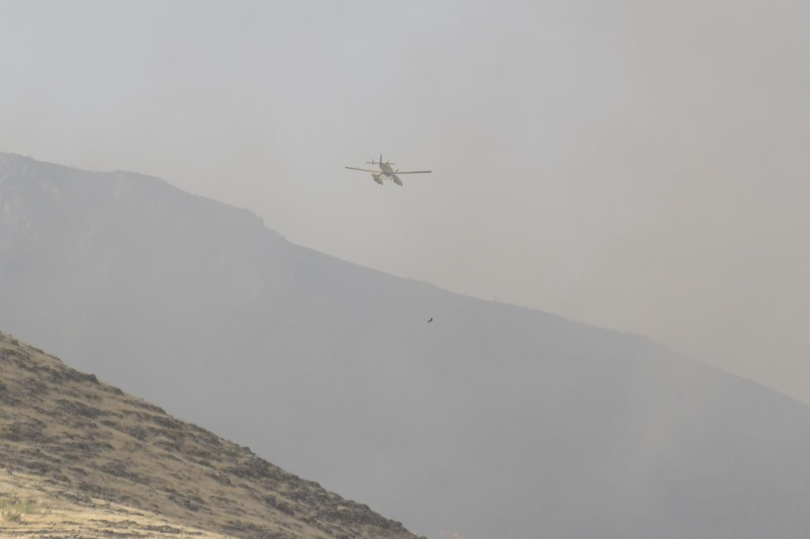 INFOCA lucha contra las llamas con todos sus medios por cielo y tierra: las imágenes