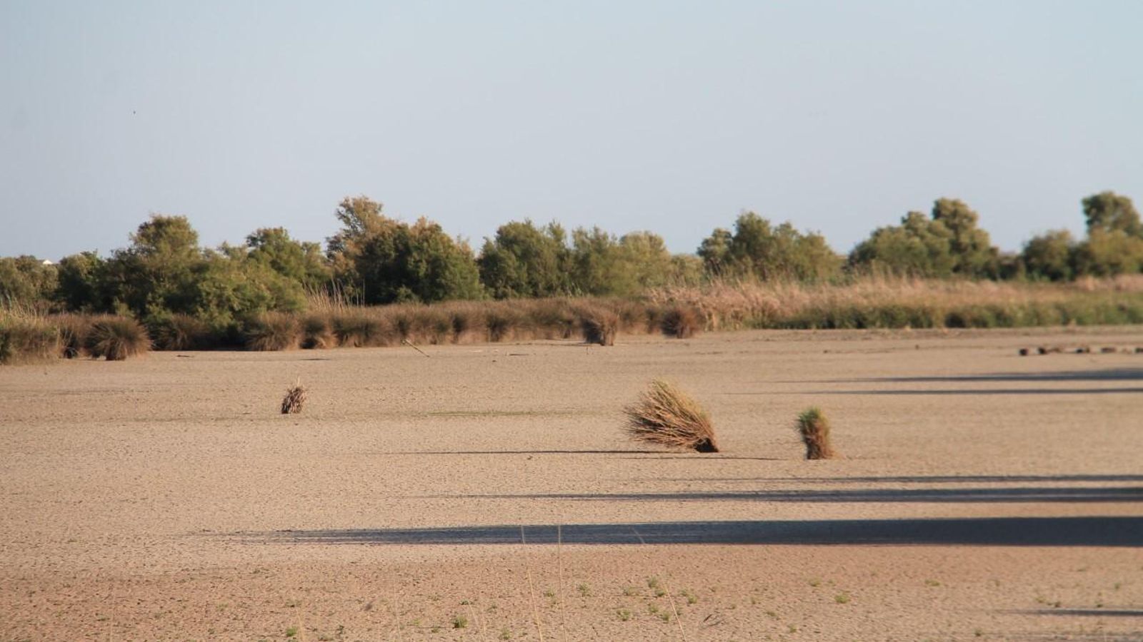 La misma zona, al norte del paraje natural, en la actualidad.