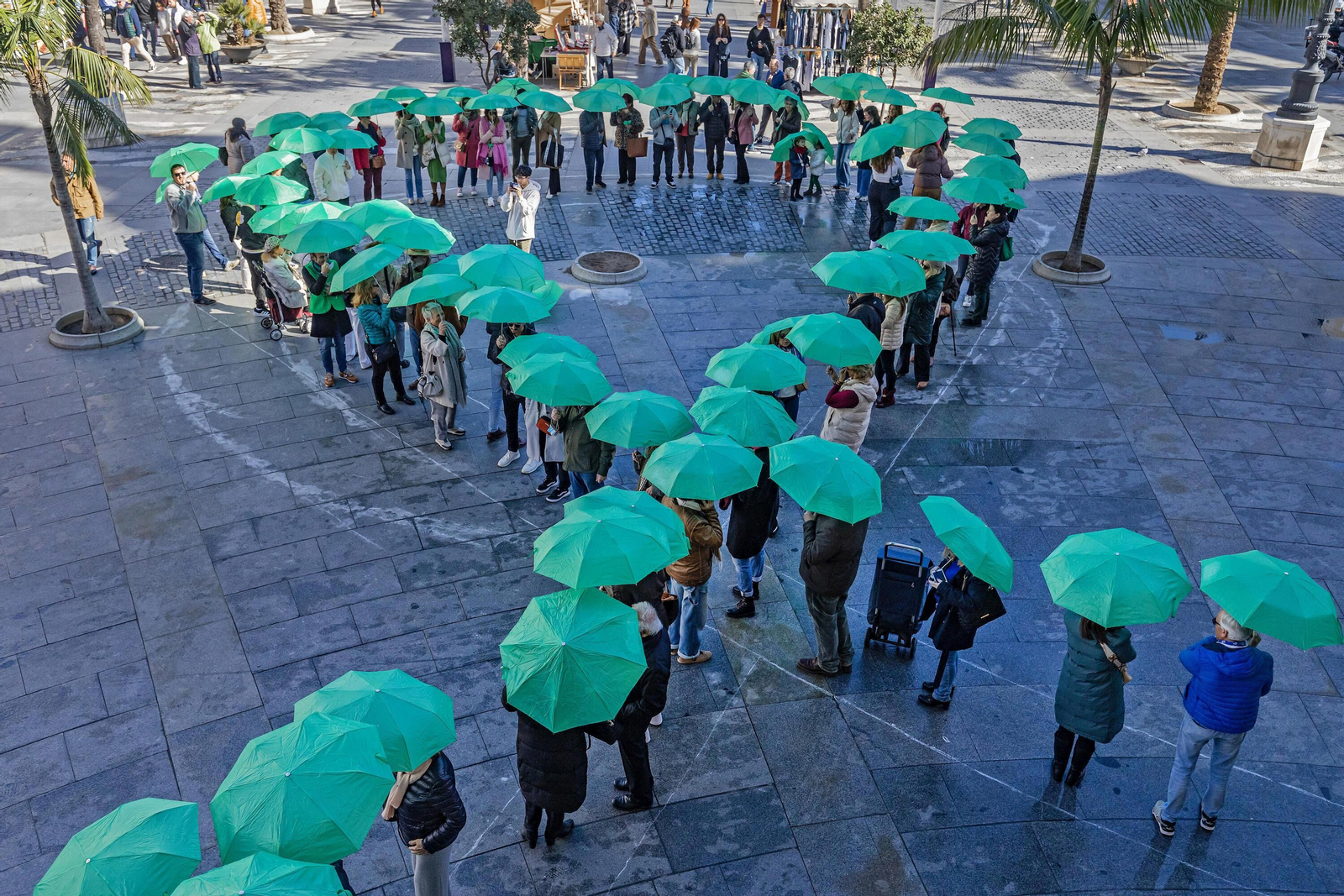 Lazo verde formado este sábado en la plaza de San Juan de Dos de Cádiz.