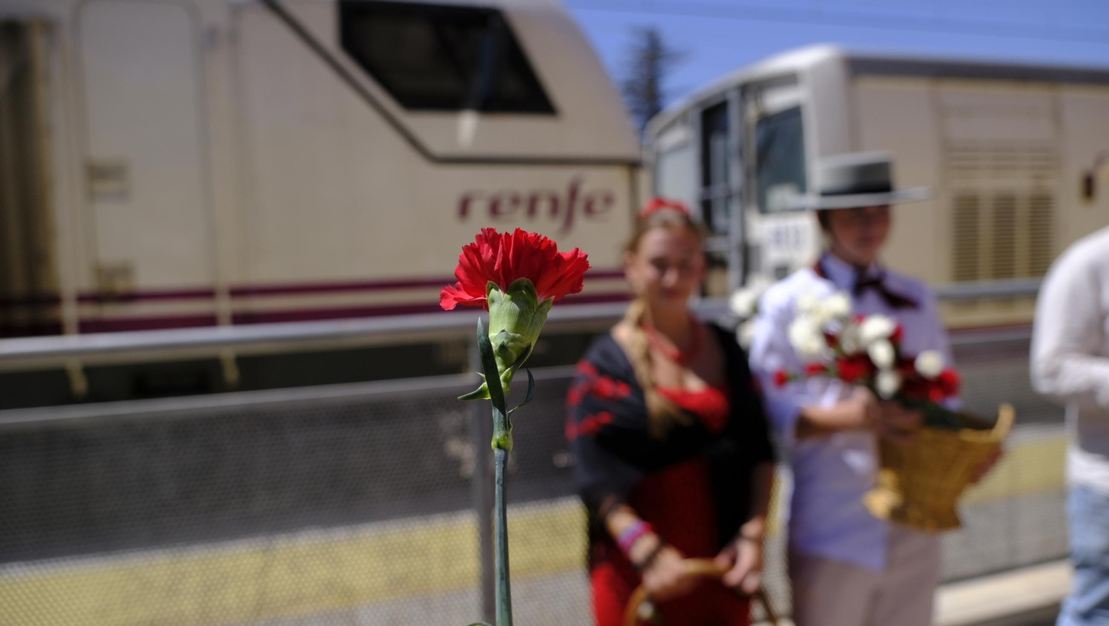 Claveles en defensa del tren en la provincia de Almería, en imágenes