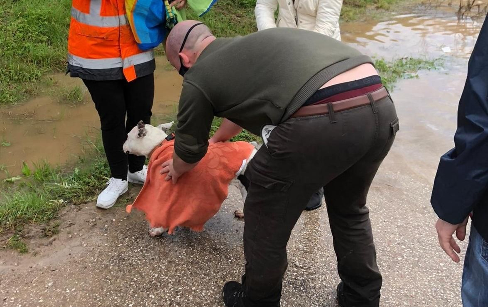 Un voluntario seca a uno de los perros rescatados.