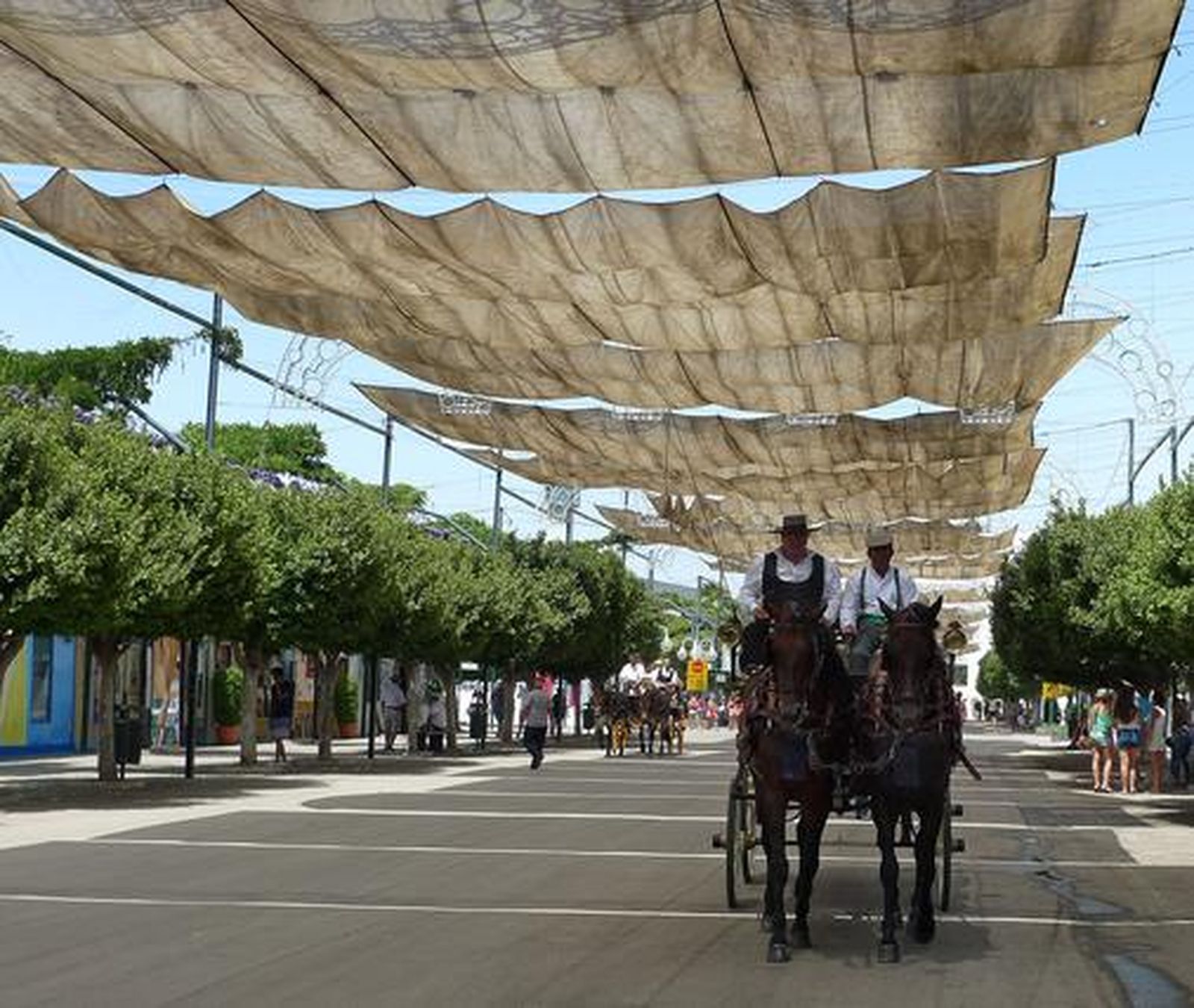 La recta final no defraudó

Foto: J. Albiñana - S. Camacho - M. Fernández