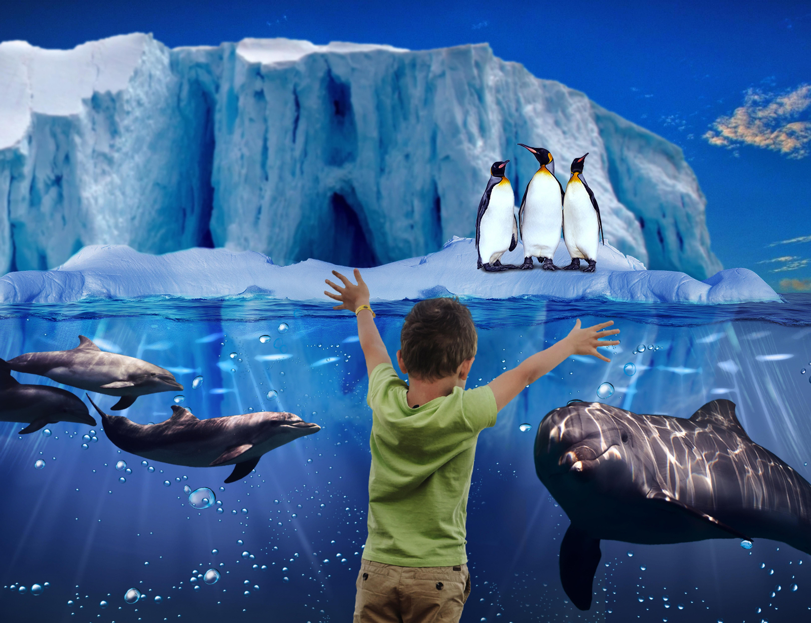 Un menor mirando delfines en Selwo Marina.