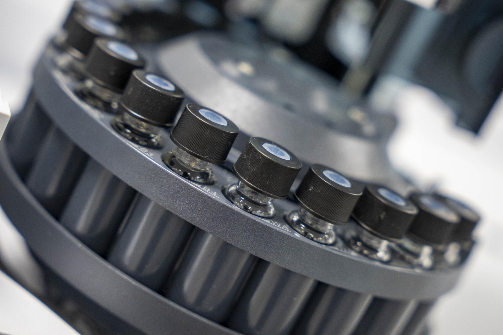 CIT COEX abre sus puertas al futuro: innovación, conocimiento y territorio