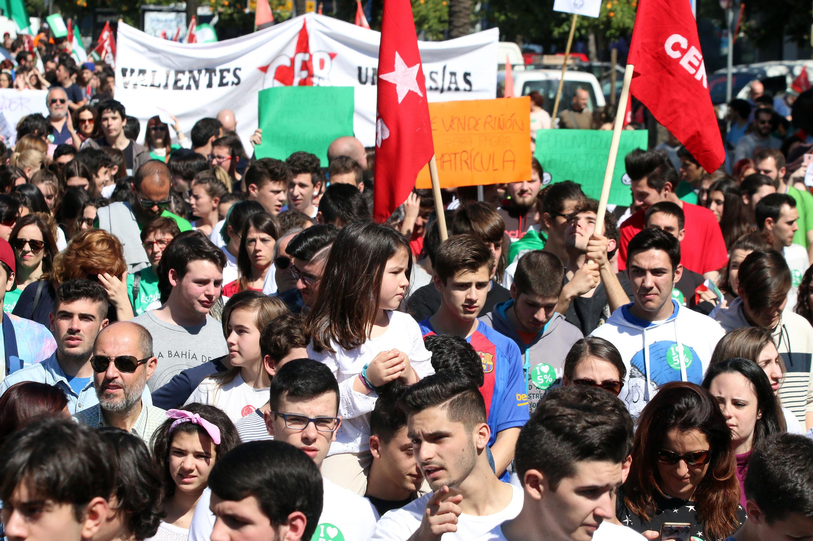La manifestación contra la Lomce, en imágenes