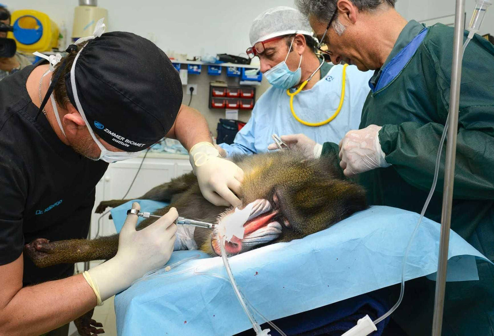 Un momento de la intervención. Un momento de la intervención.