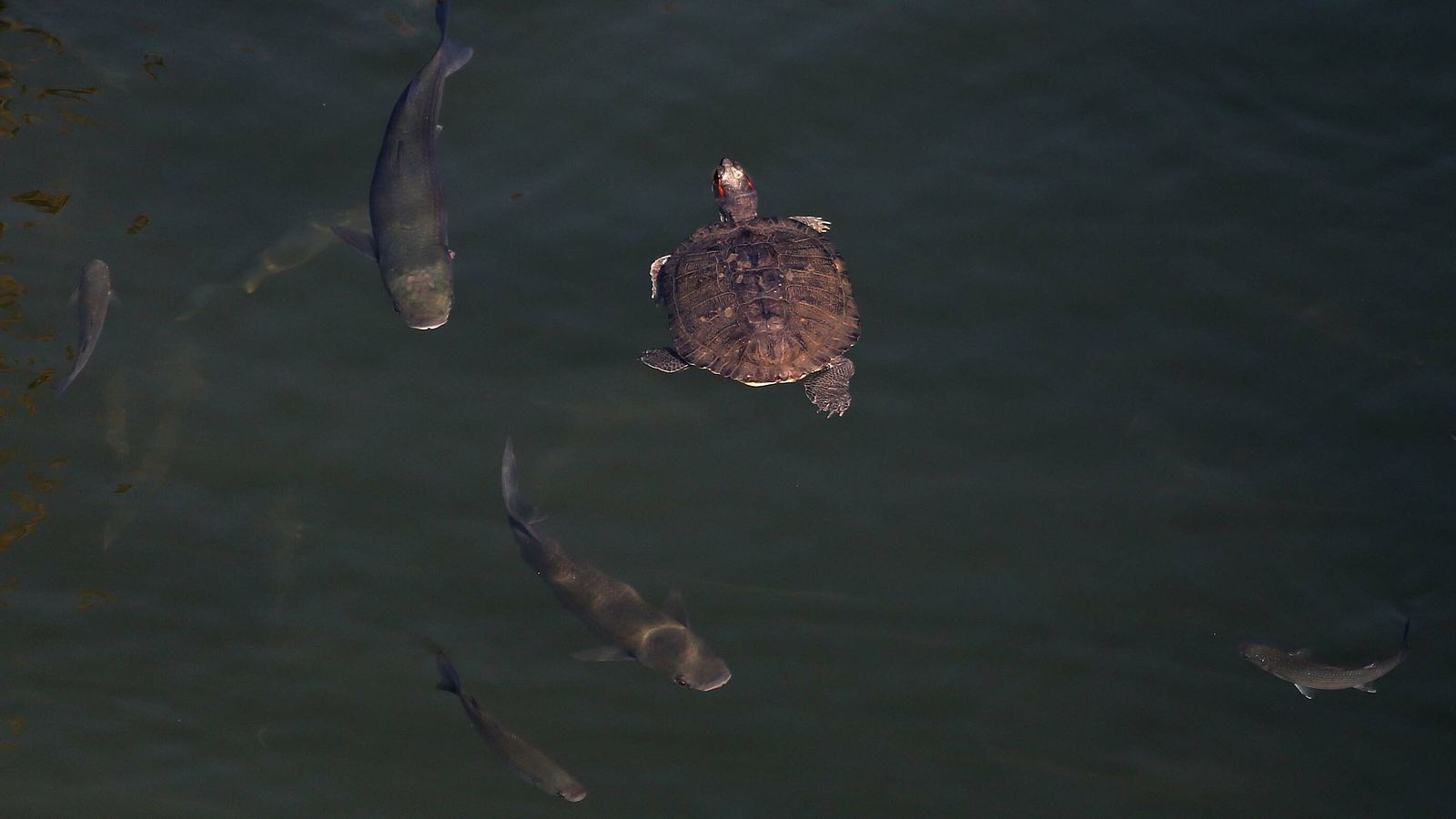 Las mejores fotos del parque fluvial del Río Pícaro