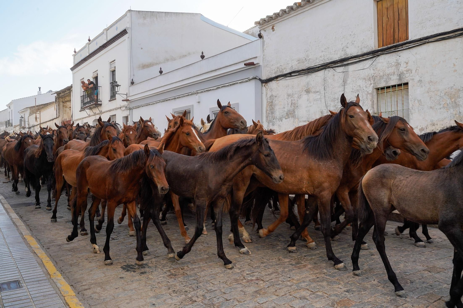 Las imágenes más destacas de la recogida de las yeguas en Hinojos