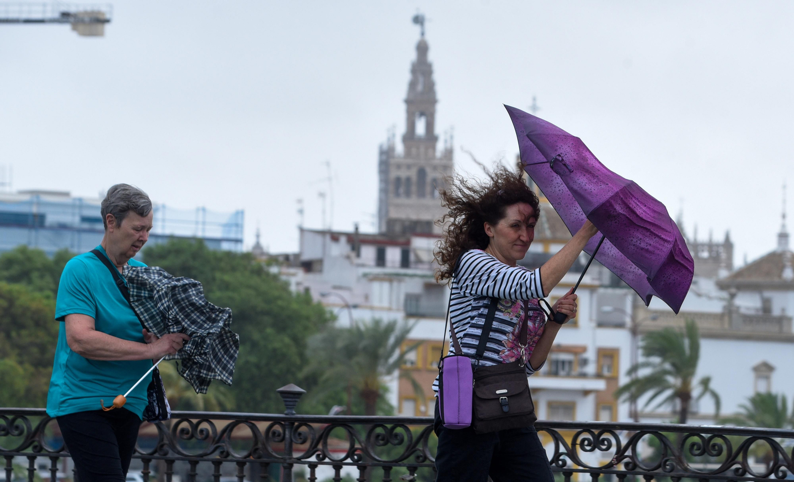 Imágenes del temporal de lluvia y viento en Sevilla