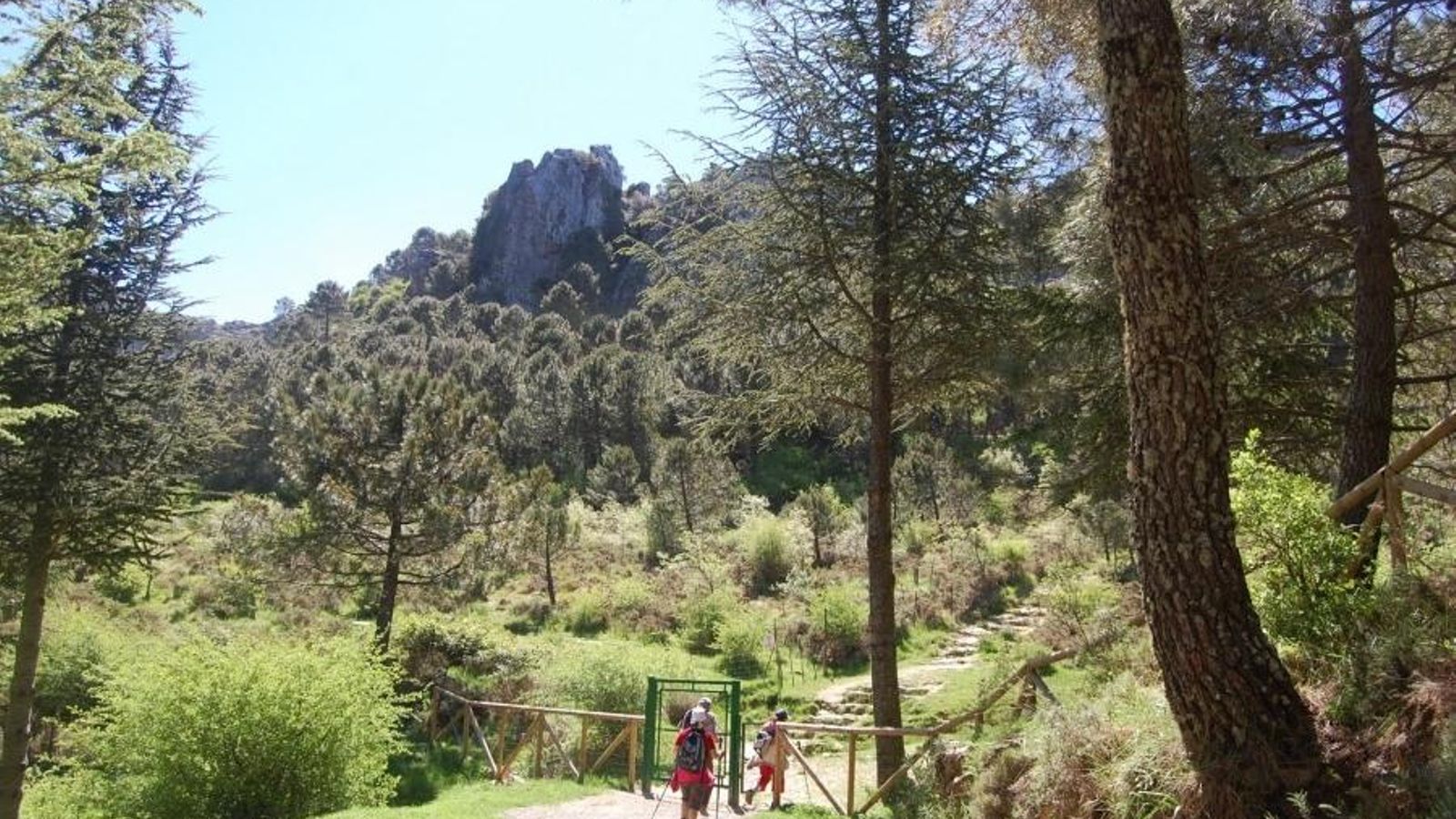 Camino de los Charcones.