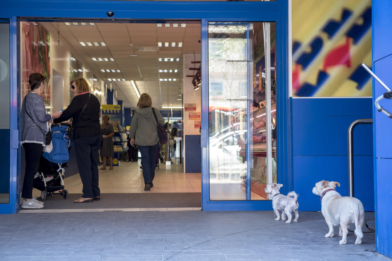 Imágenes del barrio de La Chana