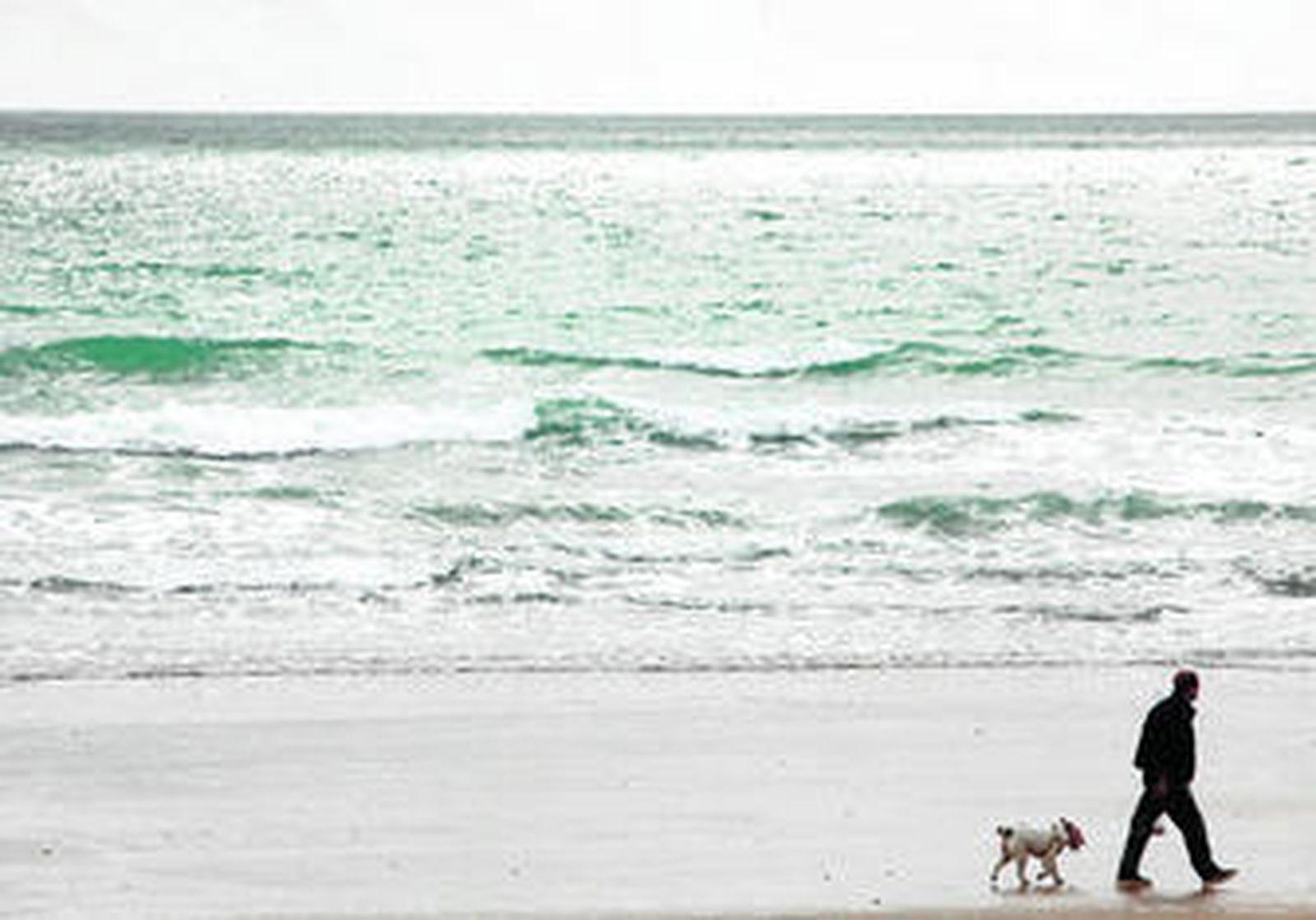 Desde el pasado octubre los propietarios de perros pueden pasear con ellos por las playas portuenses durante la temporada baja.