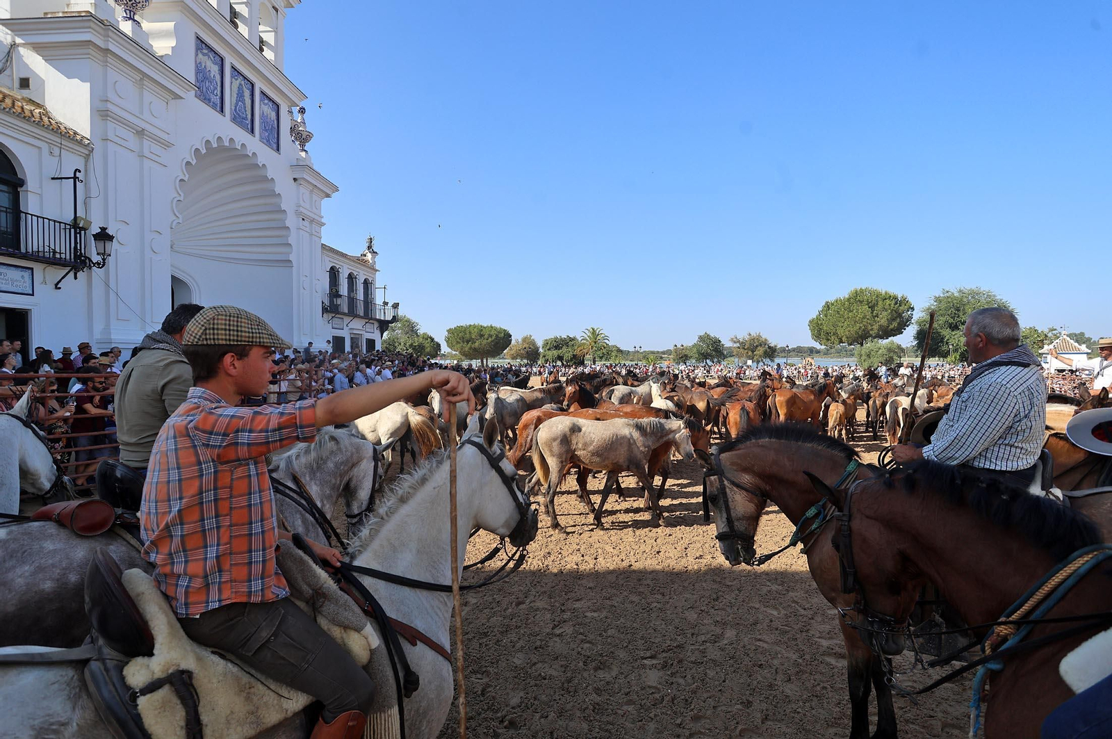 Las mejores imágenes de la Saca de las Yeguas 2025