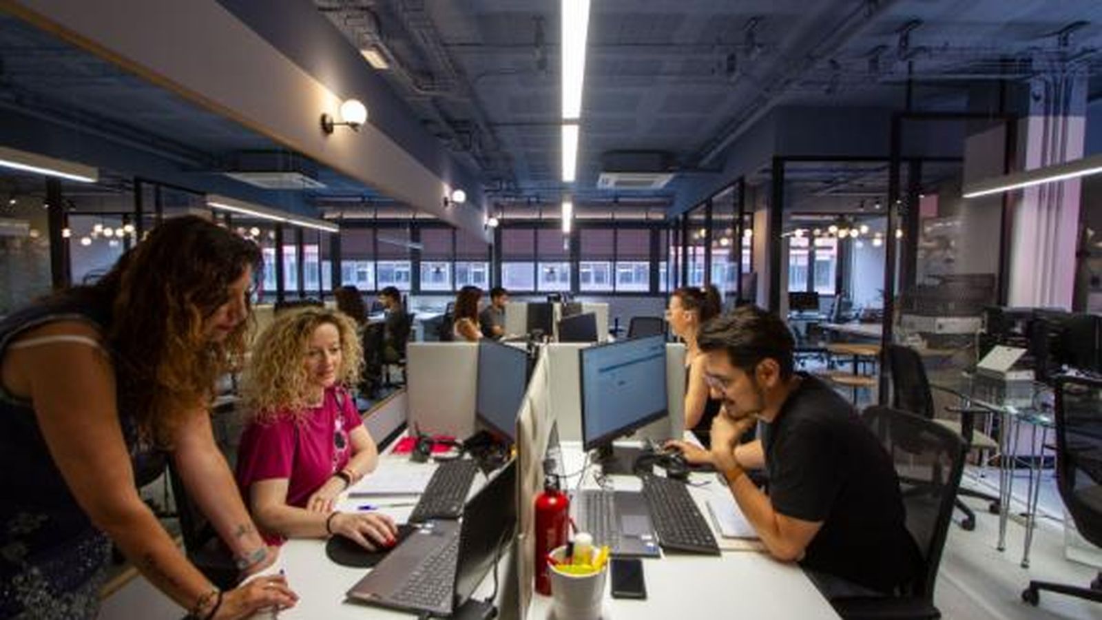 Asesoramiento técnico