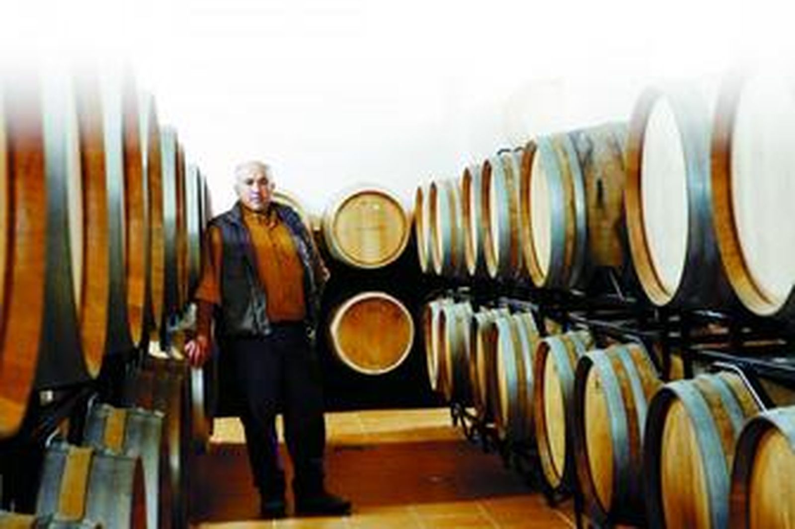 La pujante industria del vino producirá un millón de botellas esta campaña