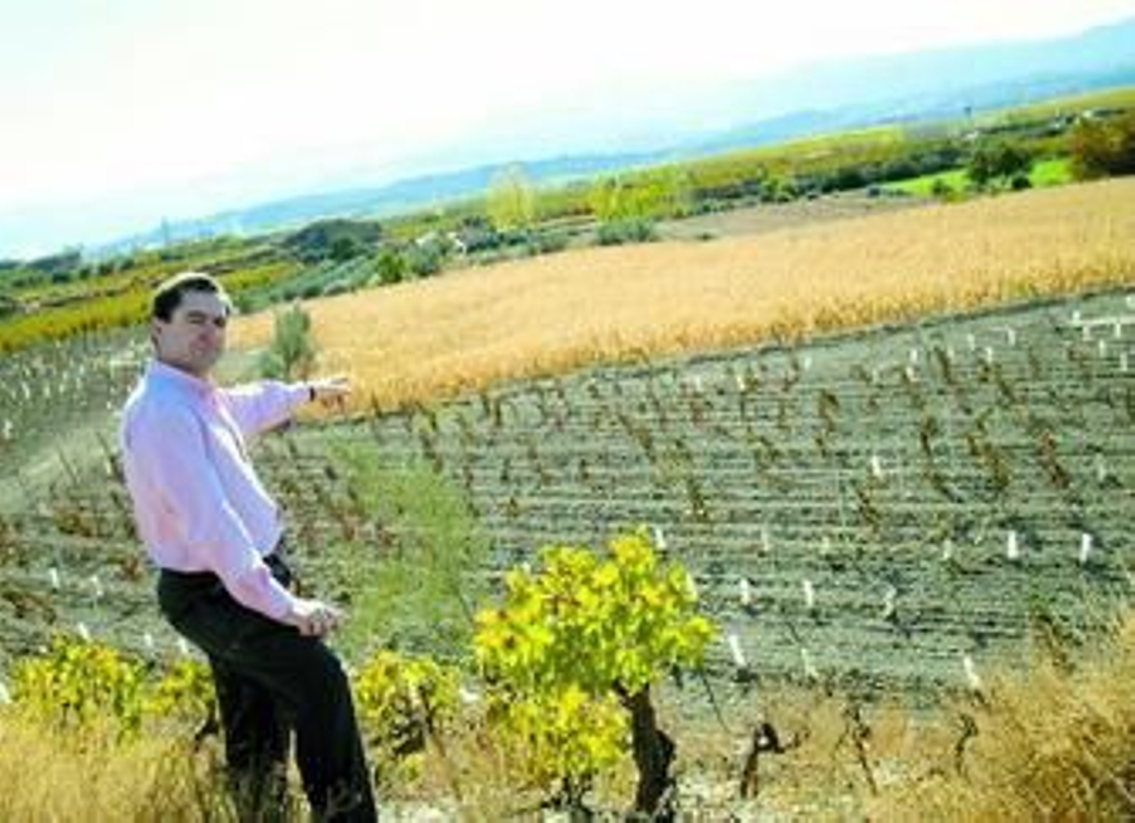 Javier Rodríguez es el gerente y propietario de la bodega Pago de Almaraes.