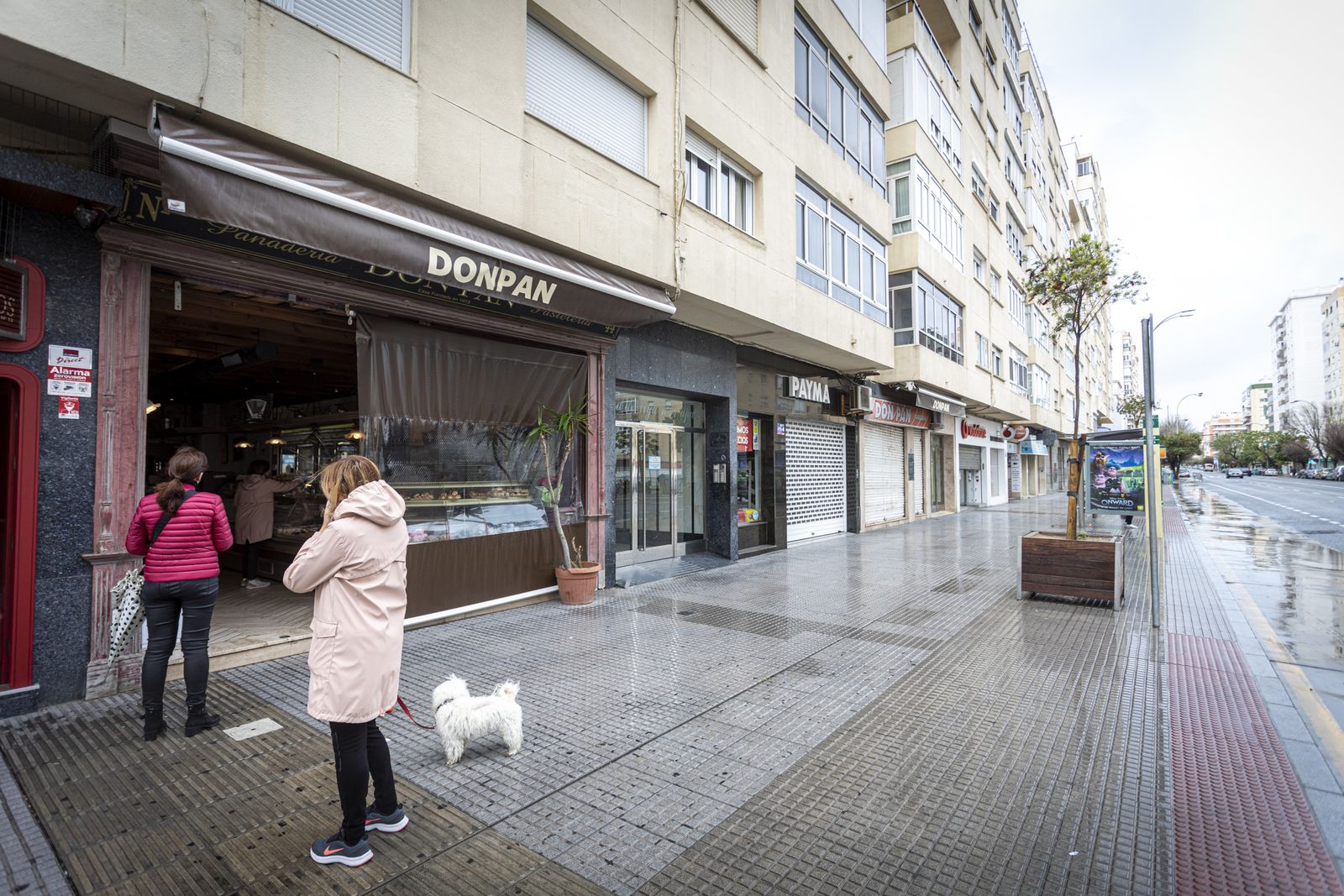 Tranquilidad en la zona del hospital Puerta del Mar