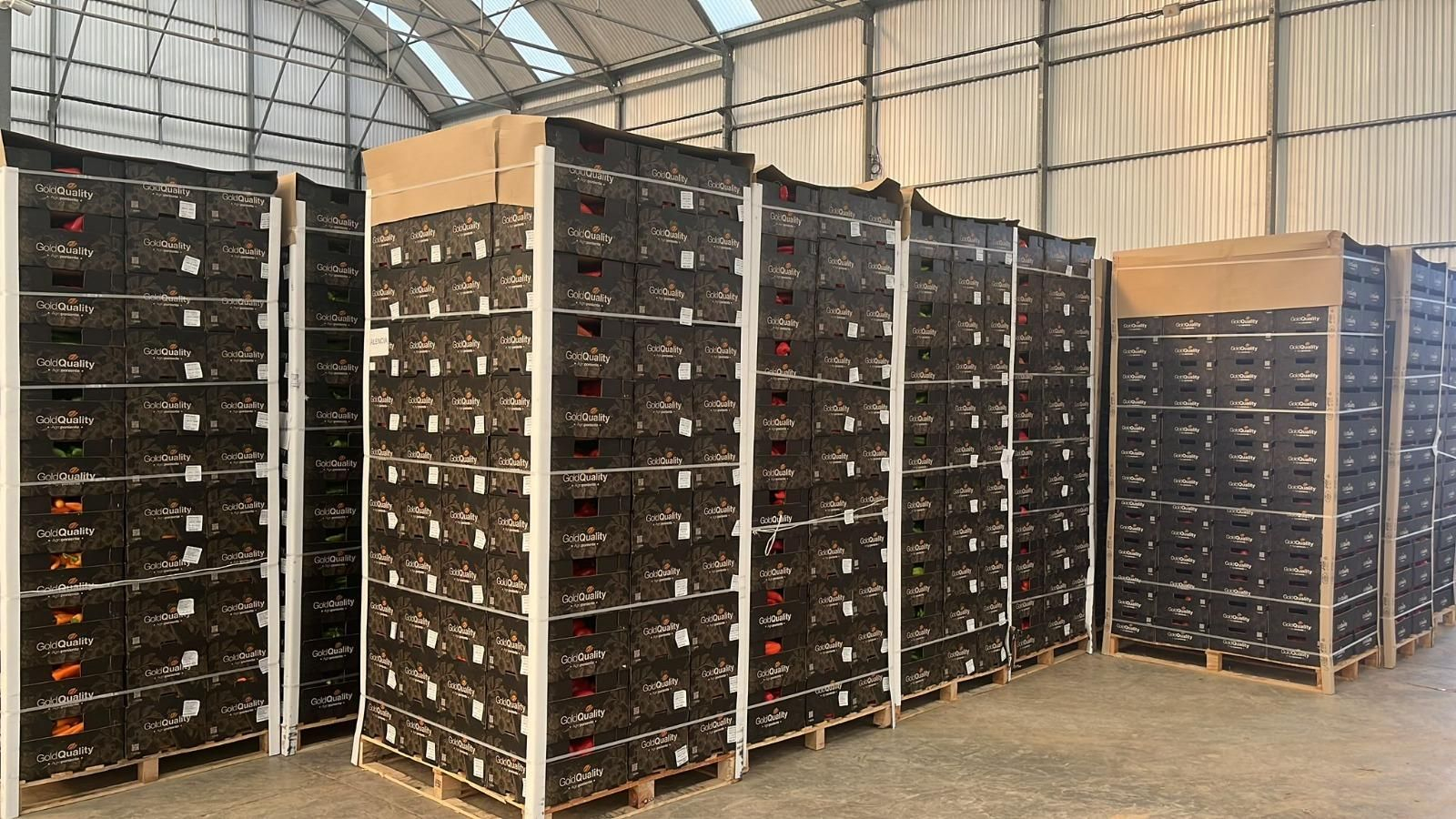 Palés enviados por Agroponiente.