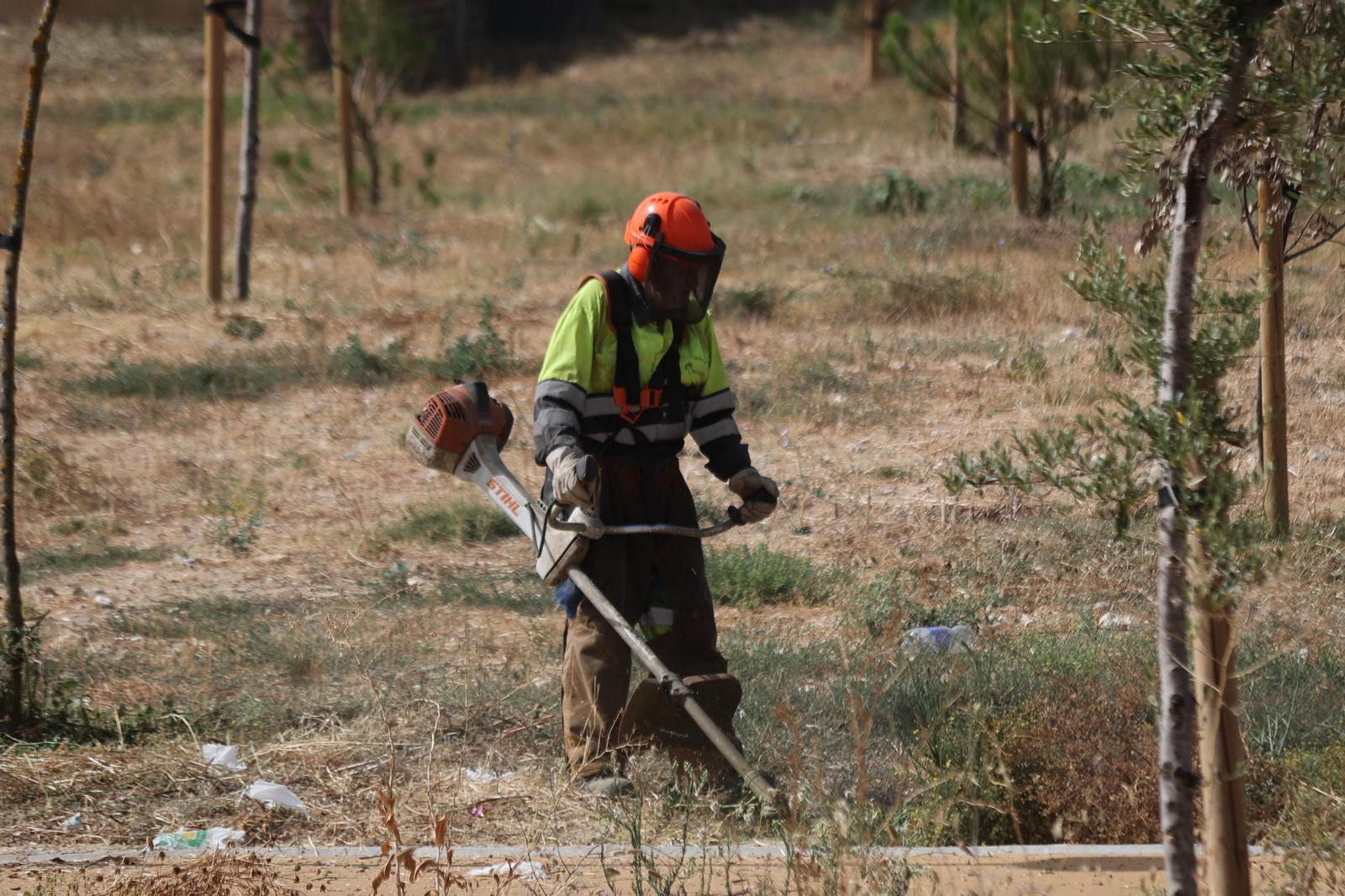 Un operario trabajando este jueves en la zona. Un operario trabajando este jueves en la zona.